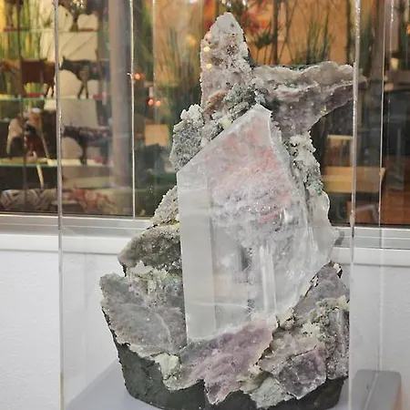 호텔 Isola 보르고