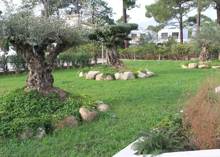 Hotel Isola 3*